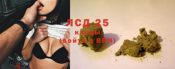 спайс Баксан